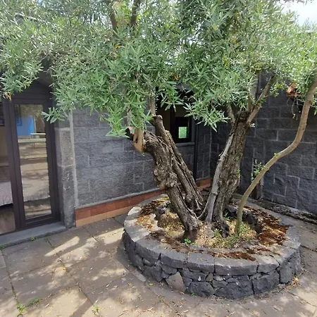 Gorna Feriehus Trecastagni